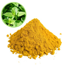 Plant extract