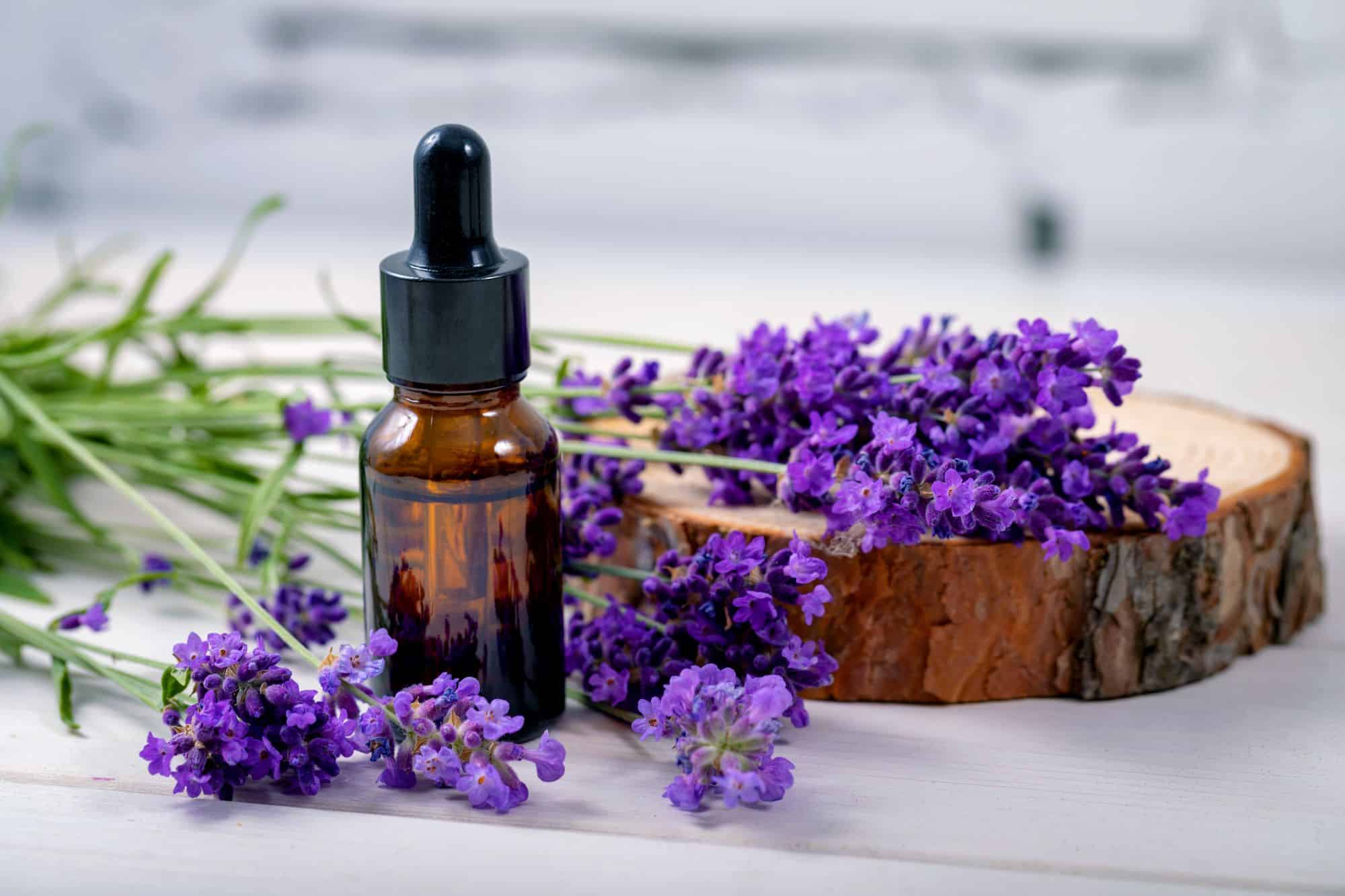 Lavender Oil.jpeg