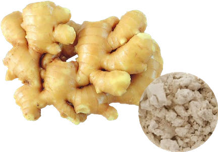 GINGER POWDER.jpg