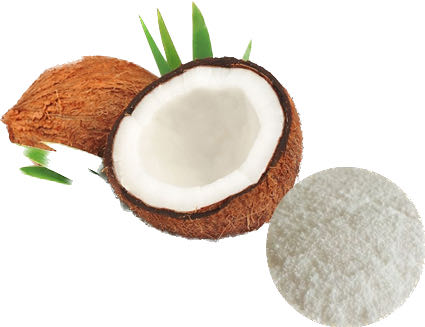 COCONUT POWDER