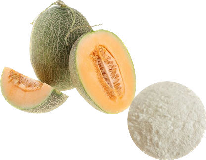 CANTALOUPE POWDER.jpg