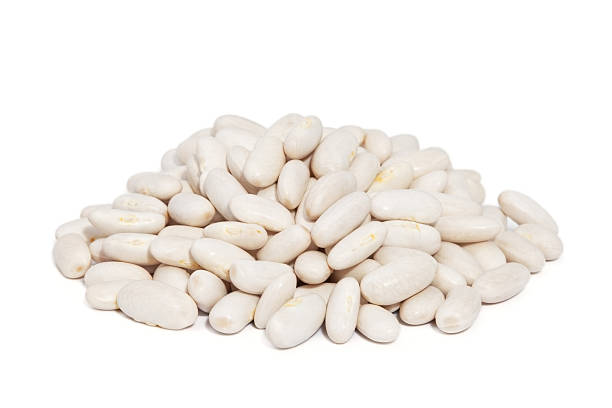 White kidney bean