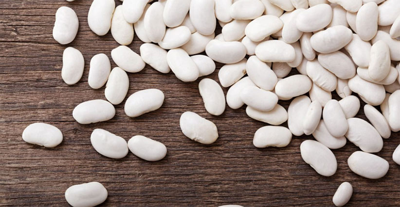 White kidney bean